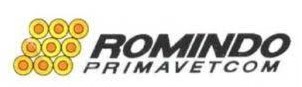 Logo Rumindo